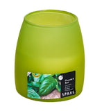 Citronella and Basil soft glow jar candle