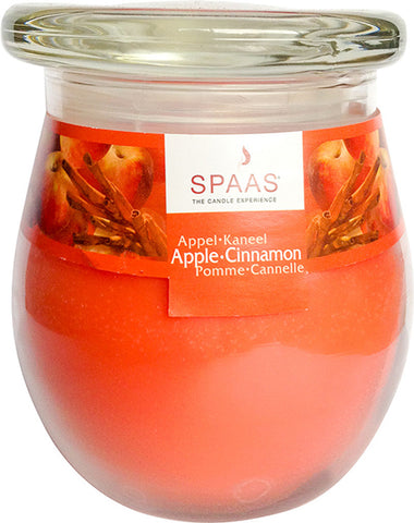 Scented Large Jar Candle - Apple Cinnamon