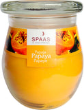 Scented Large Jar Candle - Papaya